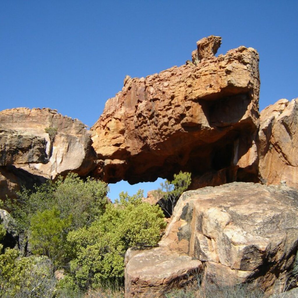 Cederberg Region